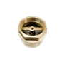 107.237.345.5-Valvula-de-retencao-vertical-2.1_2----5-.png